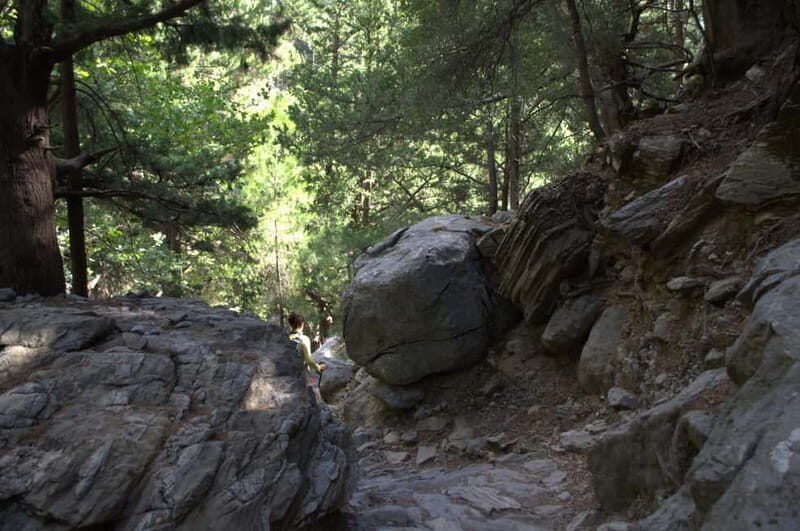 From Chania: Samaria Gorge Hike with Local Mountain Guide - Practical Tips for a Smooth Experience