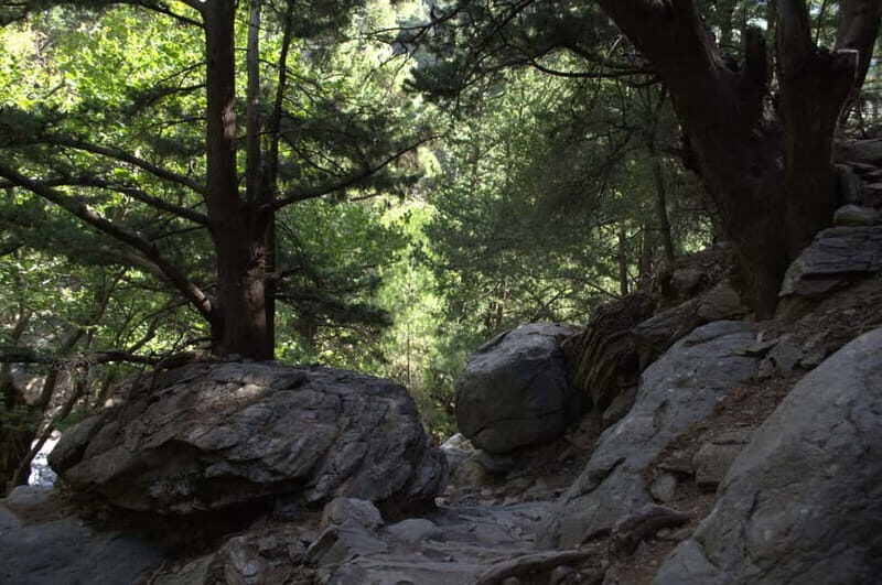 From Chania: Samaria Gorge Hike with Local Mountain Guide - Who Would Enjoy This Tour?