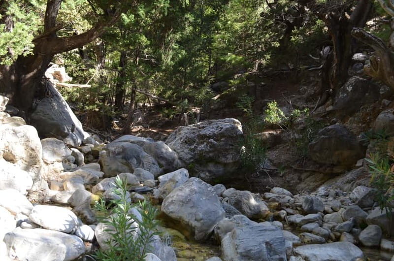 From Chania: Samaria Gorge Hike with Local Mountain Guide - FAQs