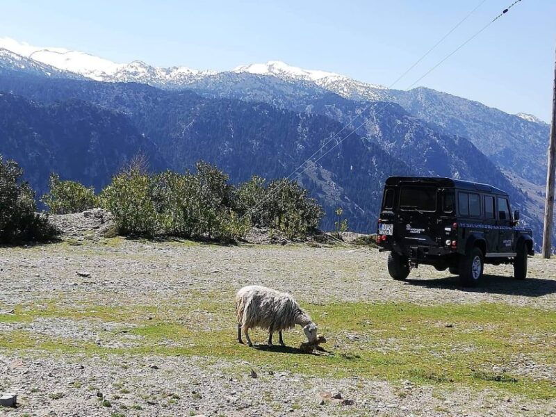 from-chania-white-mountains-land-rover-safari