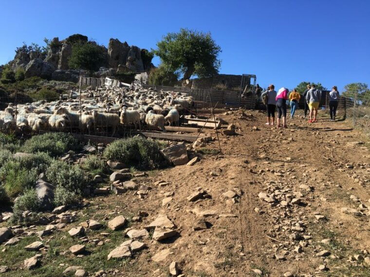 from-chania-white-mountains-land-rover-safari
