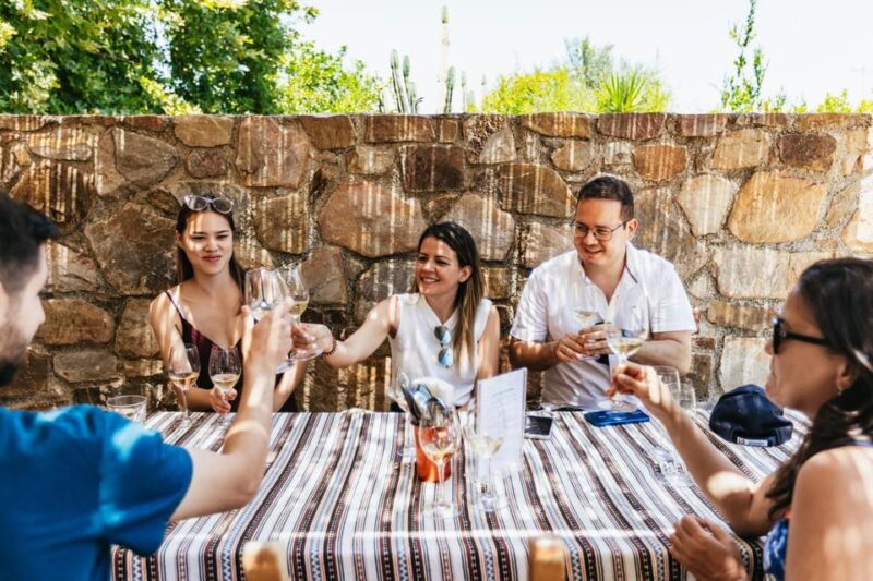 from-chania-wine-and-olive-oil-tasting-tour-with-snacks