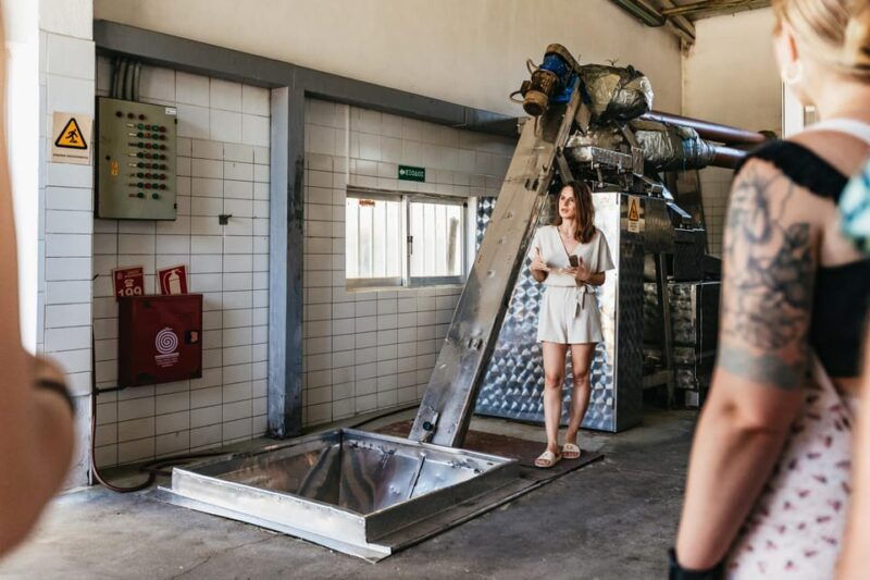 from-chania-wine-and-olive-oil-tasting-tour-with-snacks