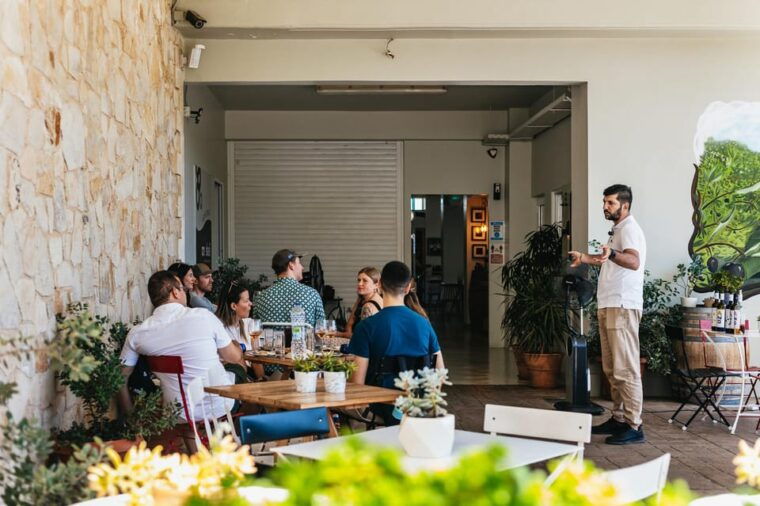 from-chania-wine-and-olive-oil-tasting-tour-with-snacks
