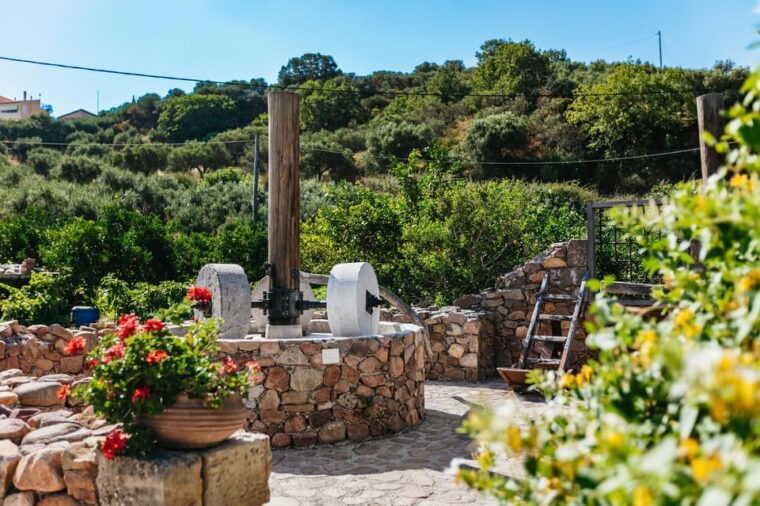from-chania-wine-and-olive-oil-tasting-tour-with-snacks