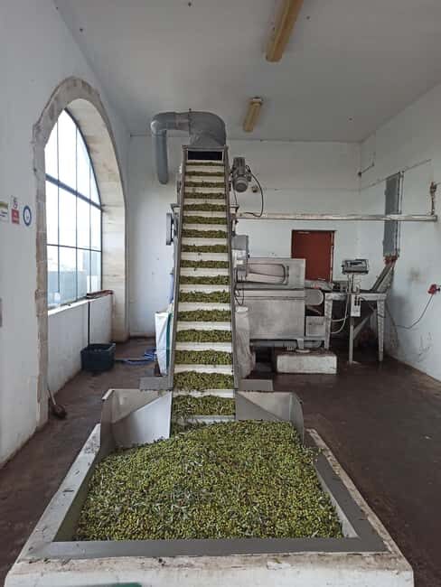 From Chania: Wine, Honey & Olive Oil Private Tour - The Practicalities and Value