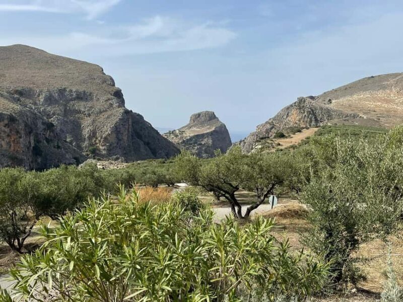 From Chania: Wine, Honey & Olive Oil Private Tour - Who Should Book This Tour?  
