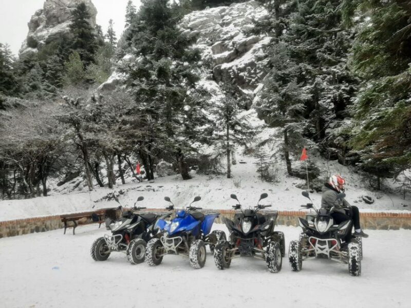 From Chefchaouen: ATV-Quad Guided Tour to Akchour Waterfall - Final Thoughts: Who Should Consider This Tour?