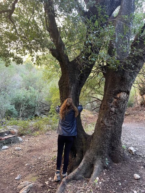 From Chefchaouen: Full Day Trip to Akchour Waterfalls - Exploring Talasemtane National Park and Akchour Waterfalls