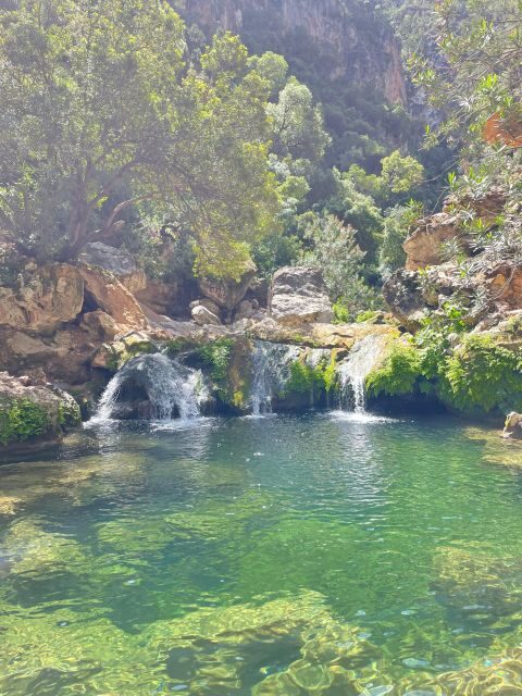 From Chefchaouen: Full Day Trip to Akchour Waterfalls - FAQ