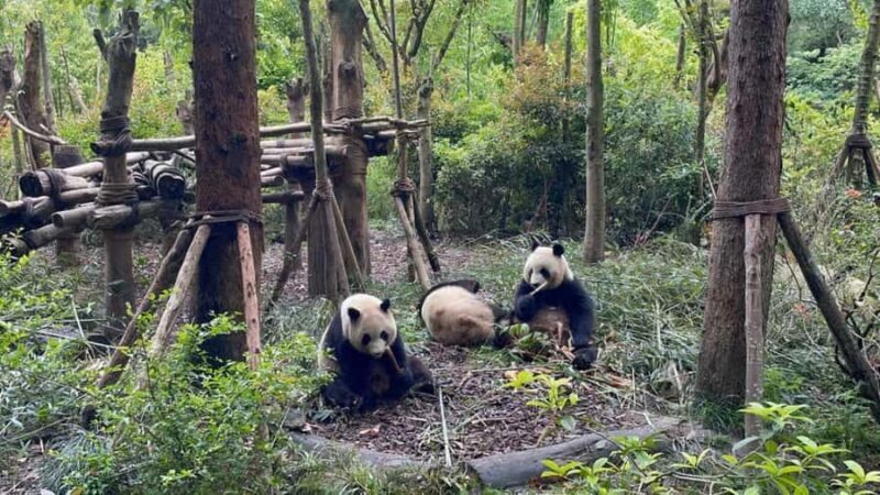 From Chengdu: Dujiangyan & Bipeng Valley 2-Day Tour - Key Points