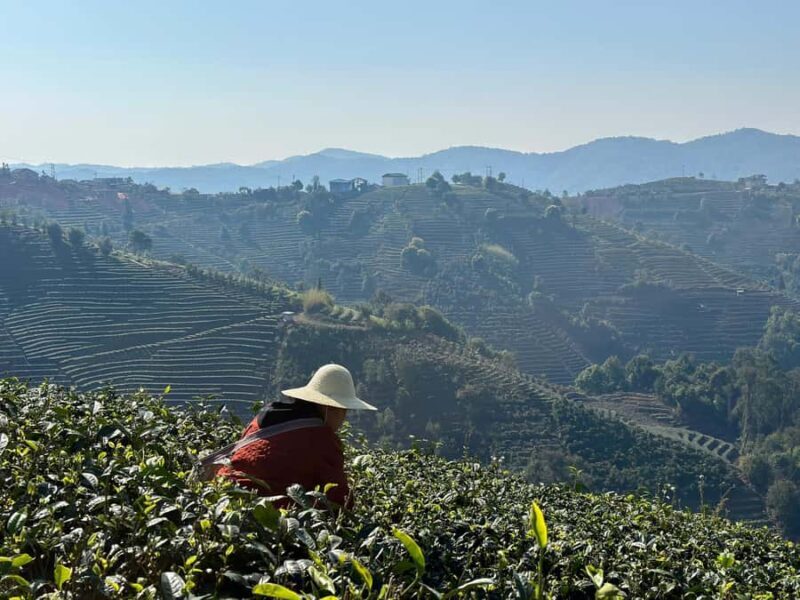 From Chengdu: Tea Garden, Bamboo Weaving & Ancient Town Tour - Exploring the Tour: What to Expect