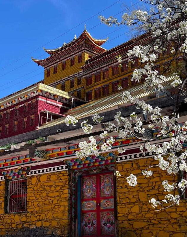 from-chengdu-tibetan-village-live-as-a-tibetan-day-tour