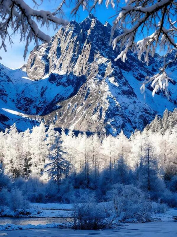 From Chengdu:Bipeng Valley Day Trip - Key Points