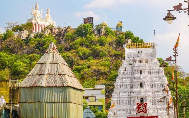 From Chennai: Full-Day Srikalahasti Temple Tour - FAQ