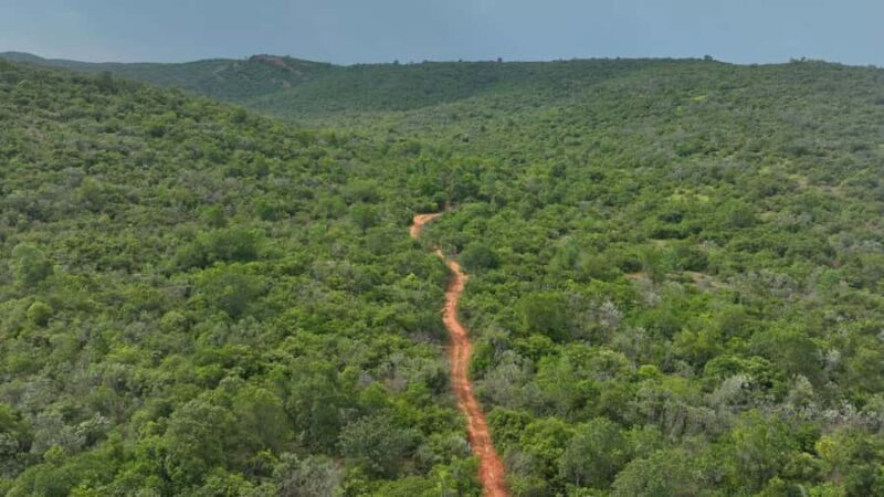 From Chennai: Gudiyam Caves Guided Trek (with Transport) - Key Points