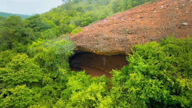 From Chennai: Gudiyam Caves Guided Trek (with Transport) - A Closer Look at the Gudiyam Caves Guided Trek