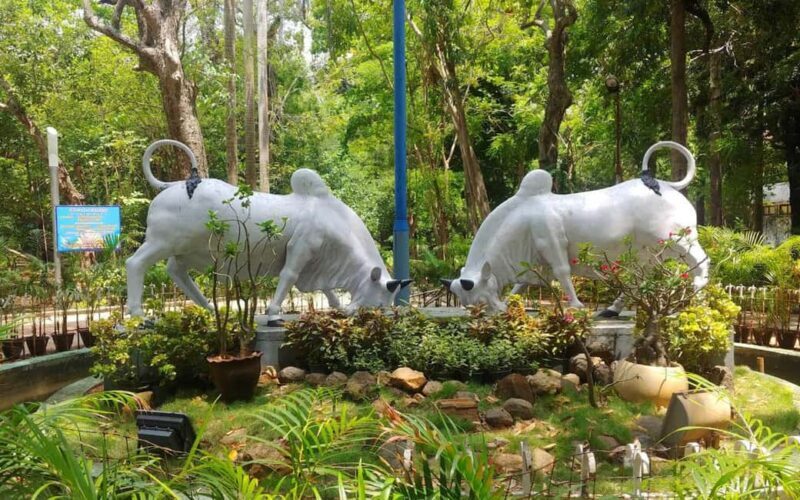 From Chennai: Private Pondicherry & Auroville Day Tour - A Day Tour with Purpose: What to Expect