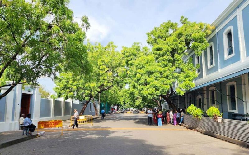 From Chennai: Private Pondicherry & Auroville Day Tour - Who Is This Tour Best For?