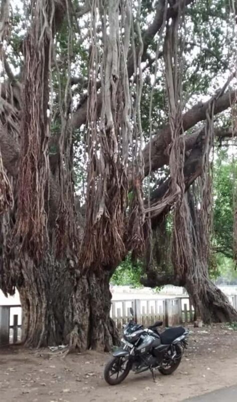 From Chennai: Private same day tour to Kanchipuram & Vellore - Vellore Fort: A Fortress of History