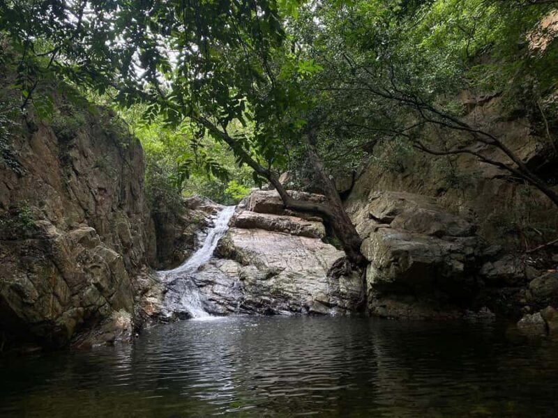 From Chennai: Waterfalls Guided Trek with Trek Guide & Lunch - Considerations Before Booking