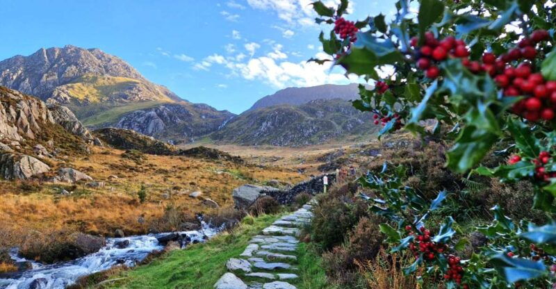 from-chester-north-wales-and-caernarfon-castle-tour