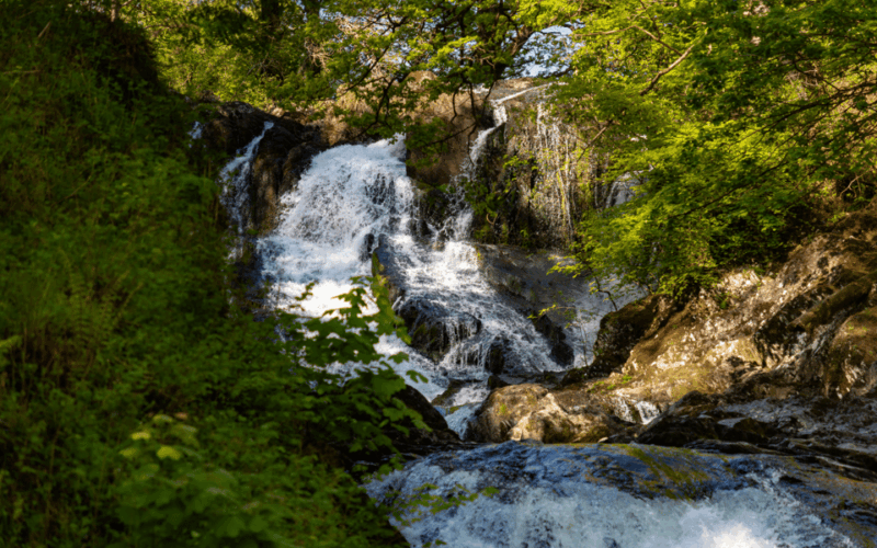 from-chester-north-wales-and-caernarfon-castle-tour