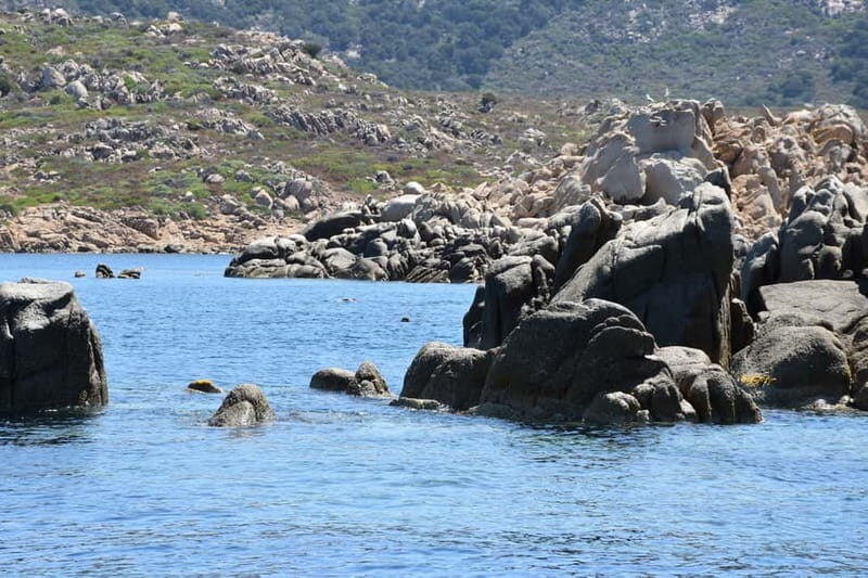 From Chia: Boat Ride to Cala Zafferano with Snorkeling - Who Will Love This Tour?