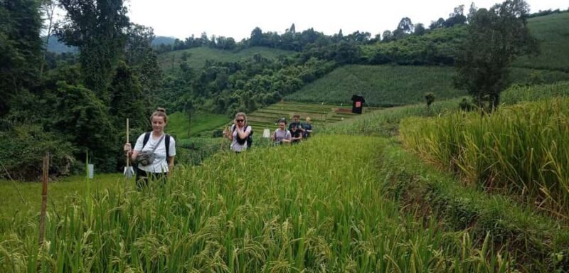 From Chiang Mai: 2-Day Trek with Hill Tribe Stay & Elephants - Key Points