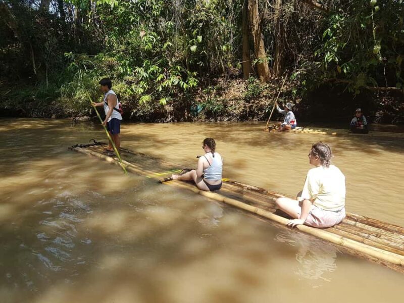 From Chiang Mai: 2-Day Trek with Hill Tribe Stay & Elephants - Who Is This Tour Best For?