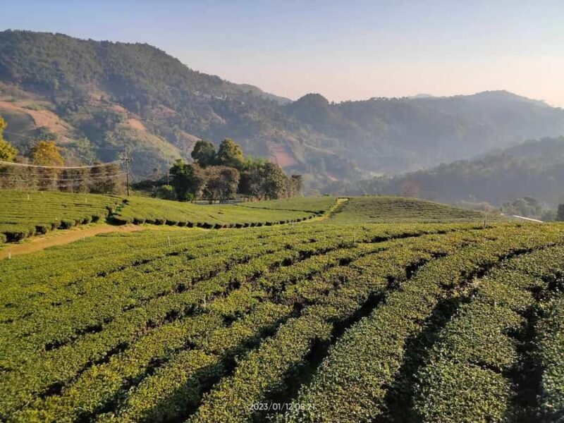 From Chiang Mai : 2 Days Chiang Rai - All Highlights - The Sum Up