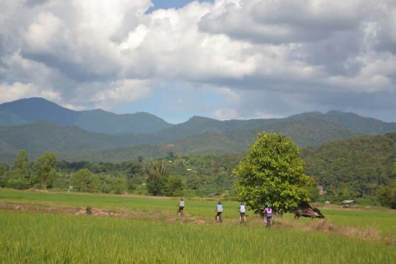 From Chiang Mai: 2 days Cycling & Kayaking tour in Mae Taeng - Key Points