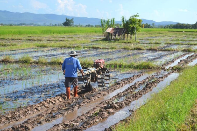 from-chiang-mai-2-days-cycling-kayaking-tour-in-mae-taeng
