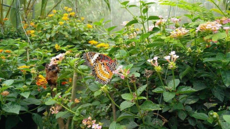 from-chiang-mai-chiang-dao-cave-5-hill-tribe-villages