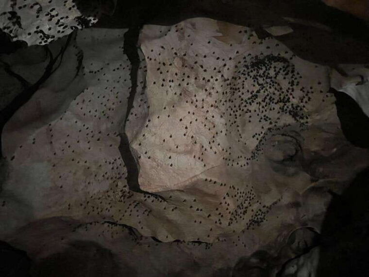 from-chiang-mai-chiang-dao-cave-5-hill-tribe-villages