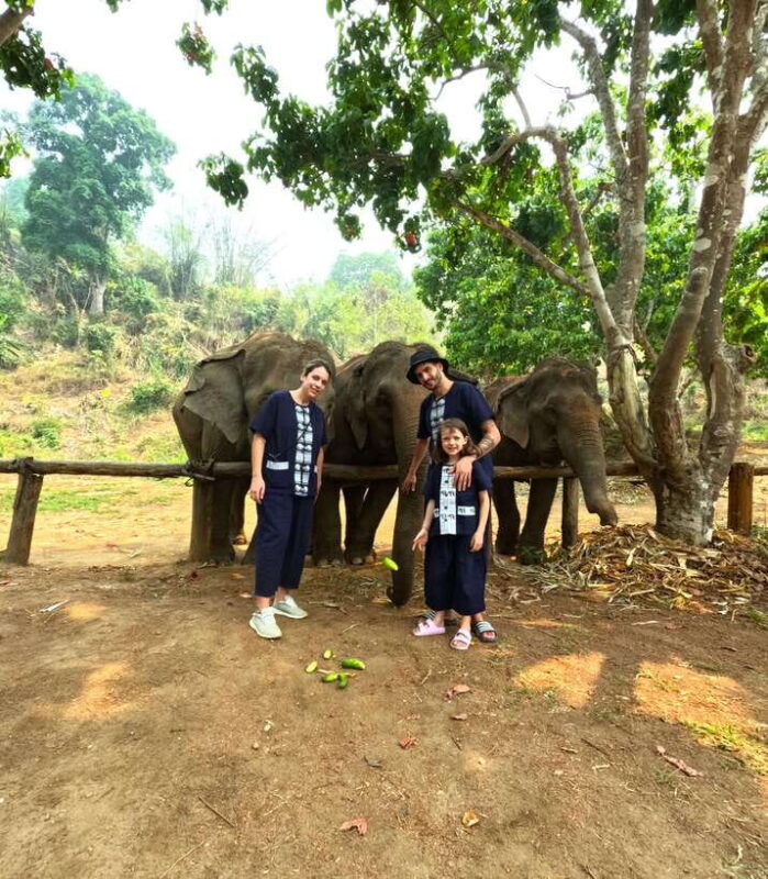 from-chiang-mai-chiang-mai-elephant-care-morning-program