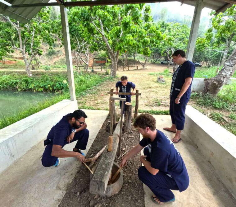 from-chiang-mai-chiang-mai-elephant-care-morning-program
