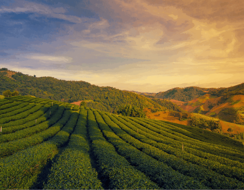 from-chiang-mai-customize-your-northern-thailand-itinerary