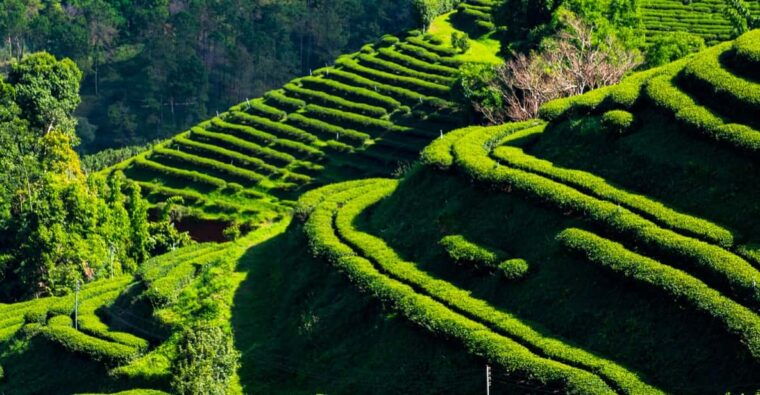 from-chiang-mai-customize-your-northern-thailand-itinerary
