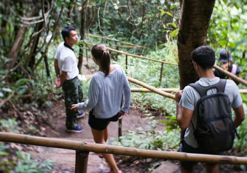 From Chiang Mai: Doi Inthanon National Park Day Trip & Hike - A Full-Day Dive into Nature and Culture