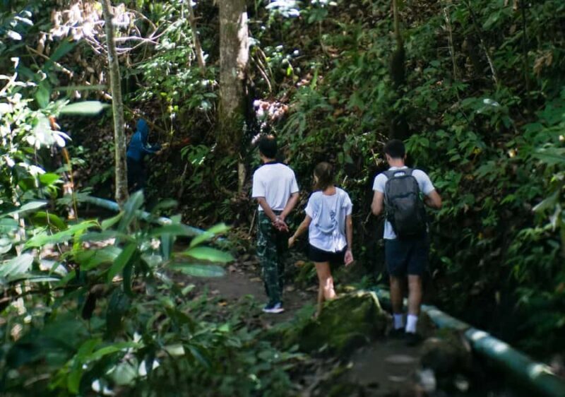 From Chiang Mai: Doi Inthanon National Park Day Trip & Hike - FAQs