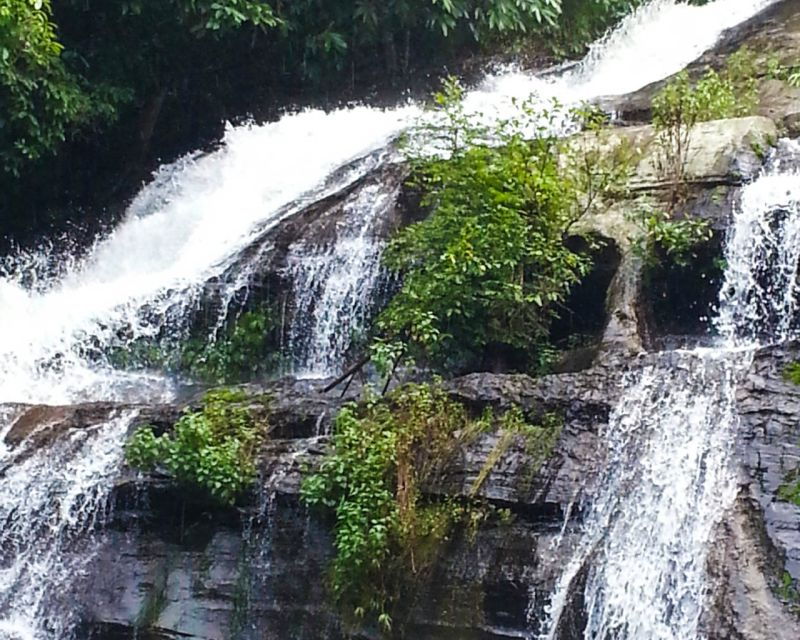 from-chiang-mai-doi-inthanon-national-park-day-trip-hike