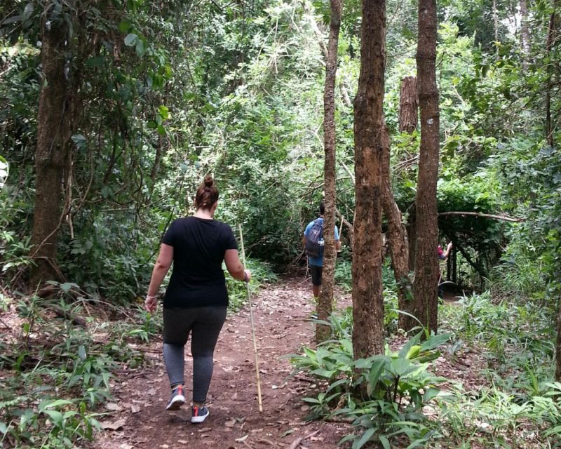from-chiang-mai-doi-inthanon-national-park-day-trip-hike
