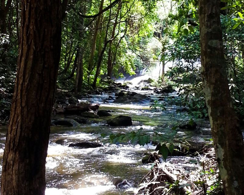 from-chiang-mai-doi-inthanon-national-park-day-trip-hike