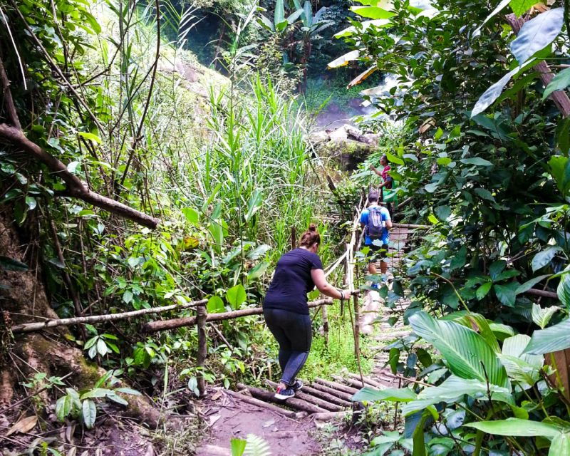 from-chiang-mai-doi-inthanon-national-park-day-trip-hike