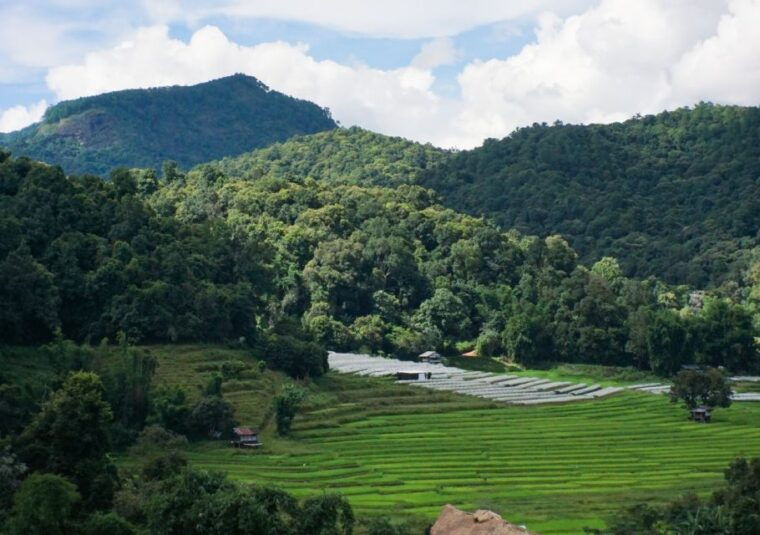 from-chiang-mai-doi-inthanon-national-park-day-trip-hike