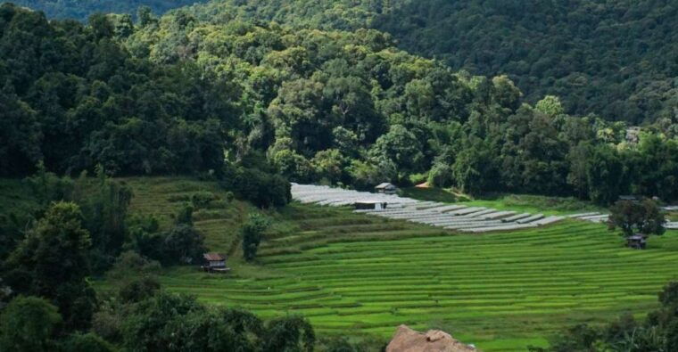 from-chiang-mai-doi-inthanon-national-park-day-trip-hike