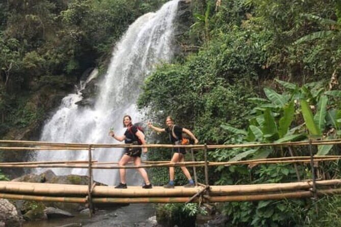 From Chiang Mai: Doi Inthanon Park & Pha Dok Siew Waterfall Hike - A Practical Look at the Chiang Mai Doi Inthanon & Pha Dok Siew Waterfall Hike