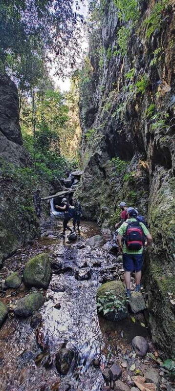 from-chiang-mai-doi-saket-hiking-tour-with-lunch