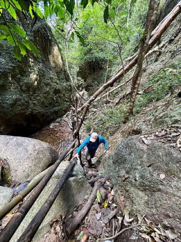 from-chiang-mai-doi-saket-hiking-tour-with-lunch